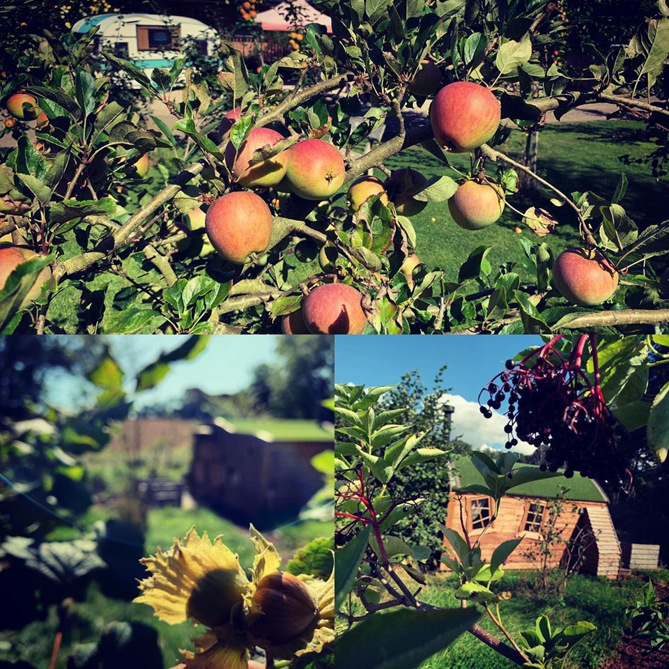 Autumn images at The Hideaway @ Baxby Manor Campsite